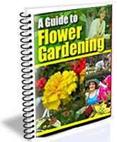 A Guide to Flower Gardening